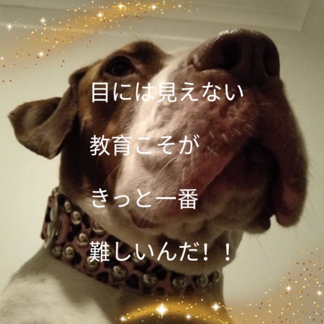 子育て／幼児教育についてや先生方のお悩みに答えます プロの意見を聞いて問題解決！個性を伸ばす教育のお手伝い！ イメージ3