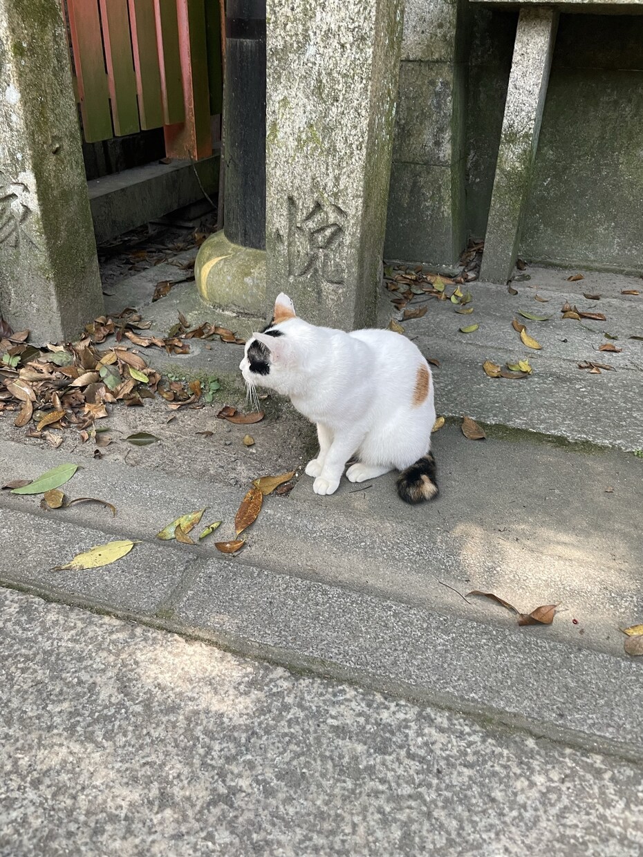 いろいろなご相談乗ります うつ病の経験したからこそあなたに寄り添います。 イメージ1