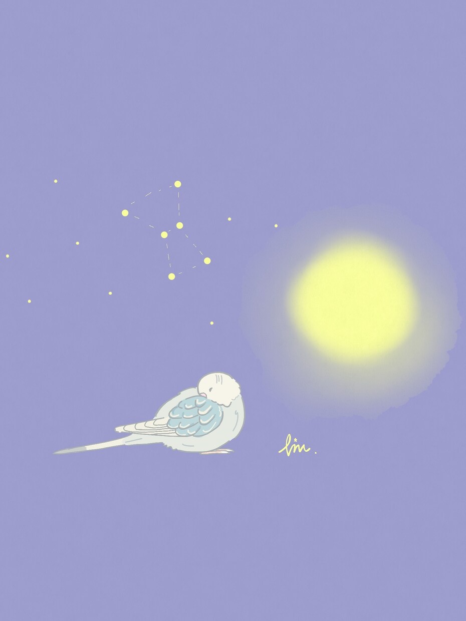 商用可☆鳥さんのおしゃれなイラストを2枚描きます SNSやブログのアイコンやプレゼントなどにどうぞ♪ イメージ4
