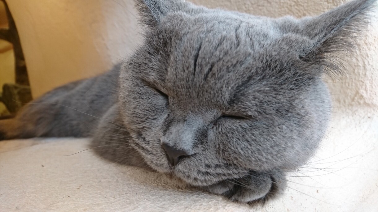 愚痴等、話し聞き☆ます 雑談、暇つぶしOK！愚痴等なんでもお話聴かせて下さい！ イメージ1