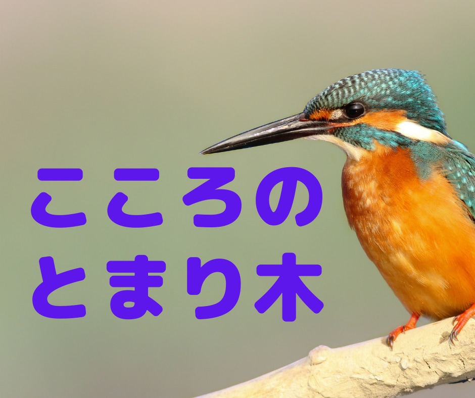 こころのとまり木お貸しします ストレスで疲れたこころの翼を休めにきませんか？ イメージ1