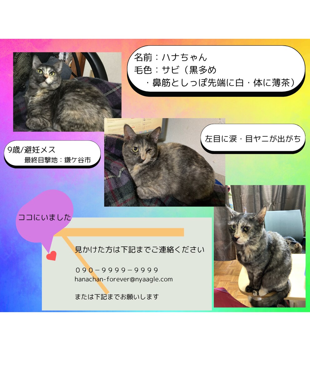 迷子猫探し用のデザインを制作します ポスターやSNS、ブログ掲載用画像など。コピー・文章にも対応 イメージ2