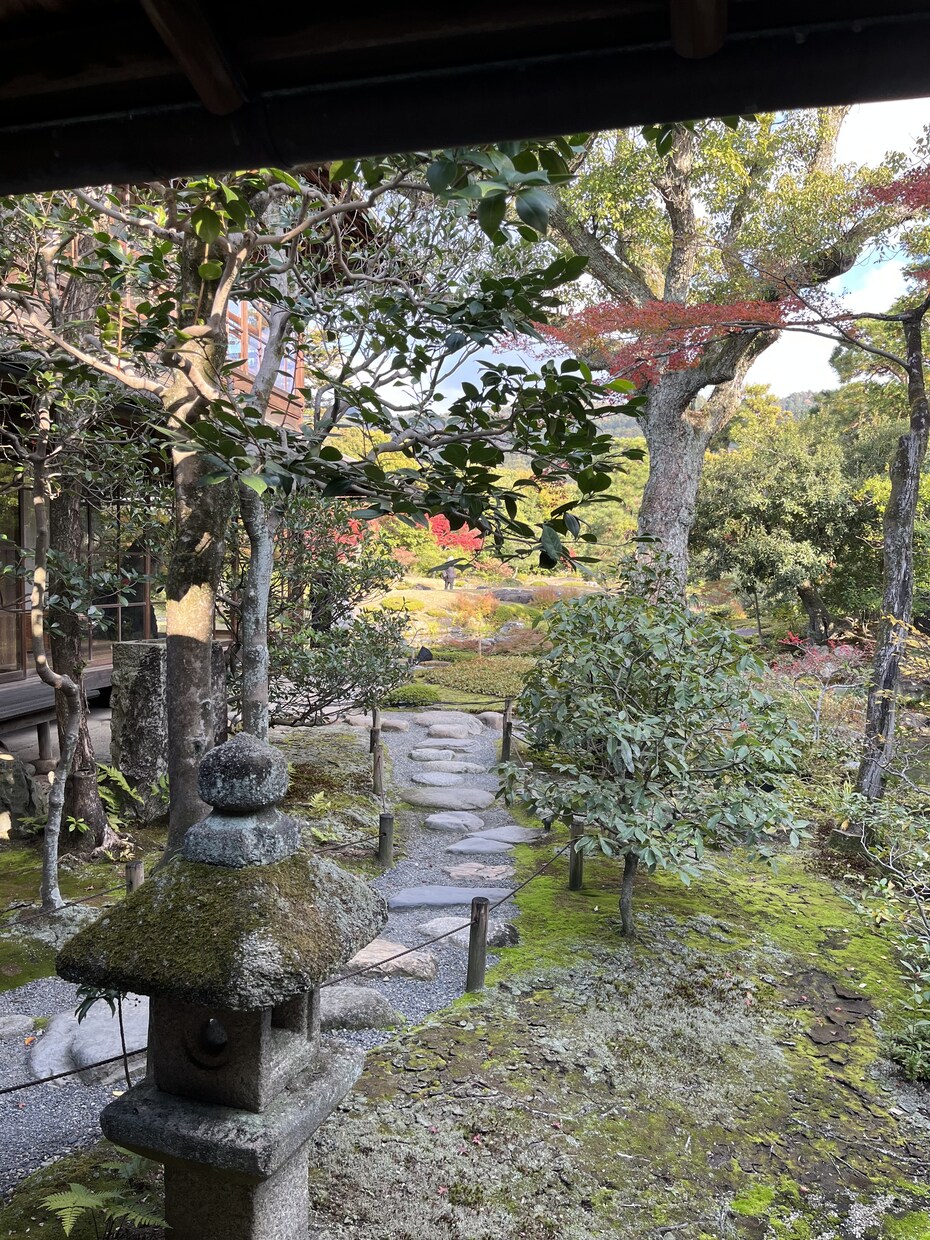 ゆるむ対話で心を整えます がんばらなくていい安心の時間です イメージ7