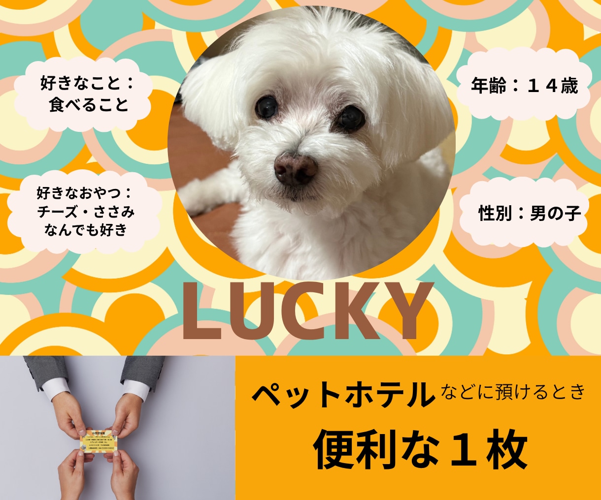 ペットのプロフィールカードを表裏で作ります 犬猫など大切なペットの情報を、預けるときに安心できる１枚に。 イメージ1