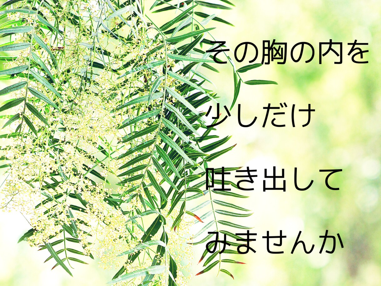 いじめ・不登校・引きこもりのお悩みお聴きします 自分のこと・お子様のことでも大丈夫です。ひとりで抱えないで イメージ4