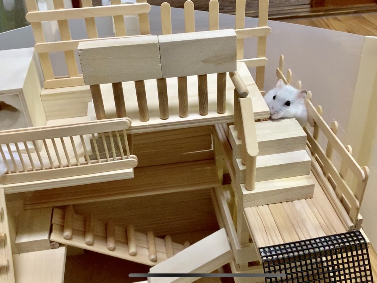 小動物のアスレチックハウス制作します 愛ハムちゃん、小鳥ちゃん向けのハウスや遊び場を制作します！ イメージ4