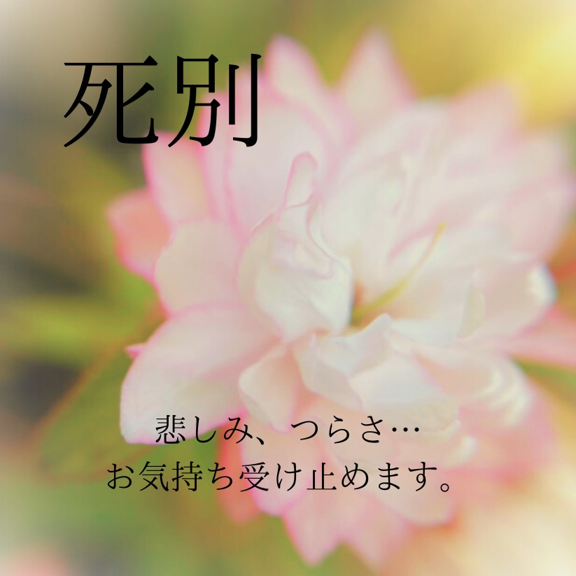 死別の悲しみ、つらさ…お話伺います 【死別、看取り経験有】あなたのお気持ち受け止めます。 イメージ1