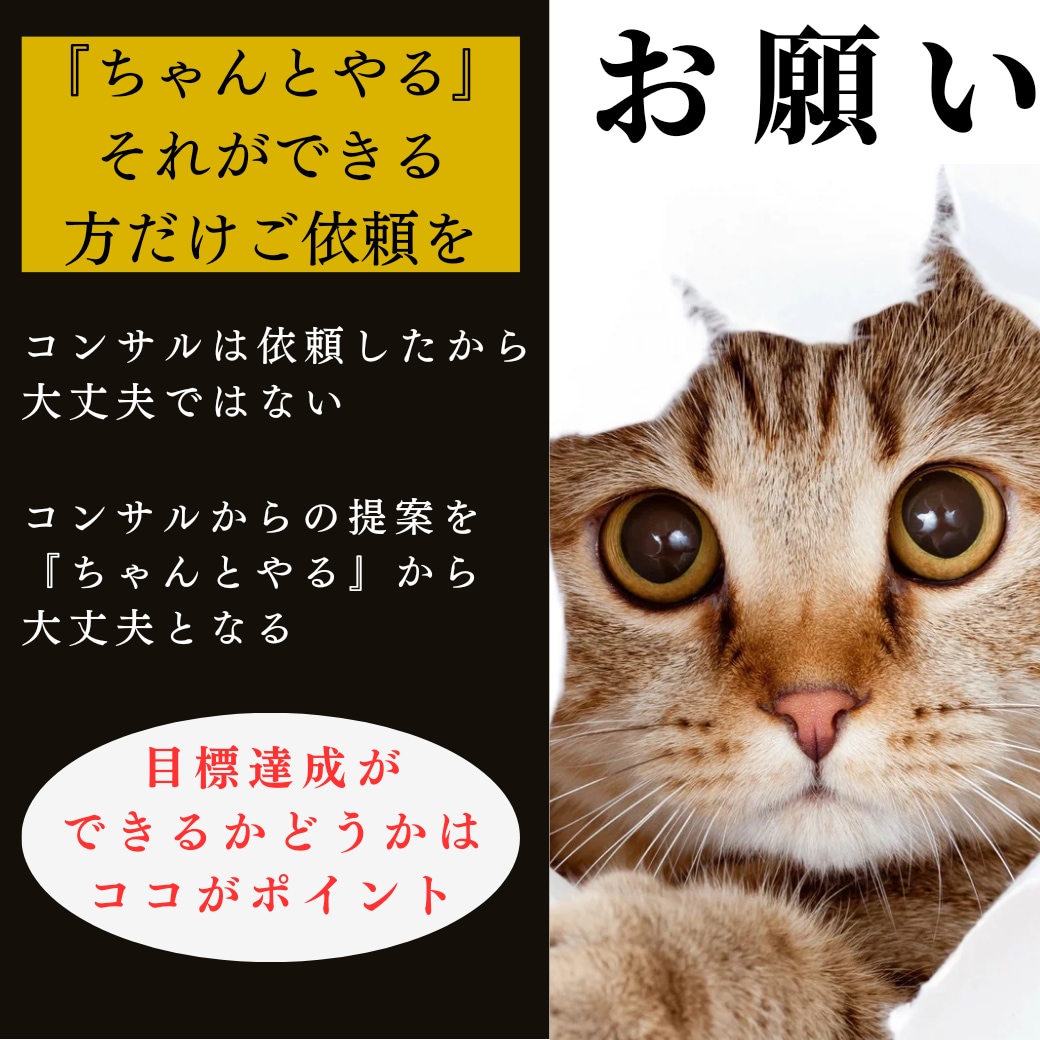 豪華特典付き！ランキング1位の必殺技を伝授します 【50％OFF企画開催中】まずは商品の評価を見て決めて！！ イメージ8