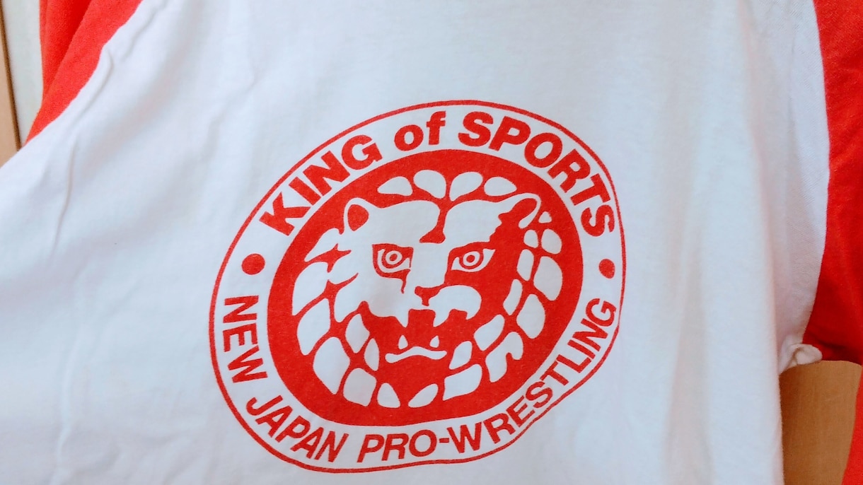 プロレスの話し相手になります プロレスの話し相手のいない方「遠慮するこたぁねえよ」 イメージ1