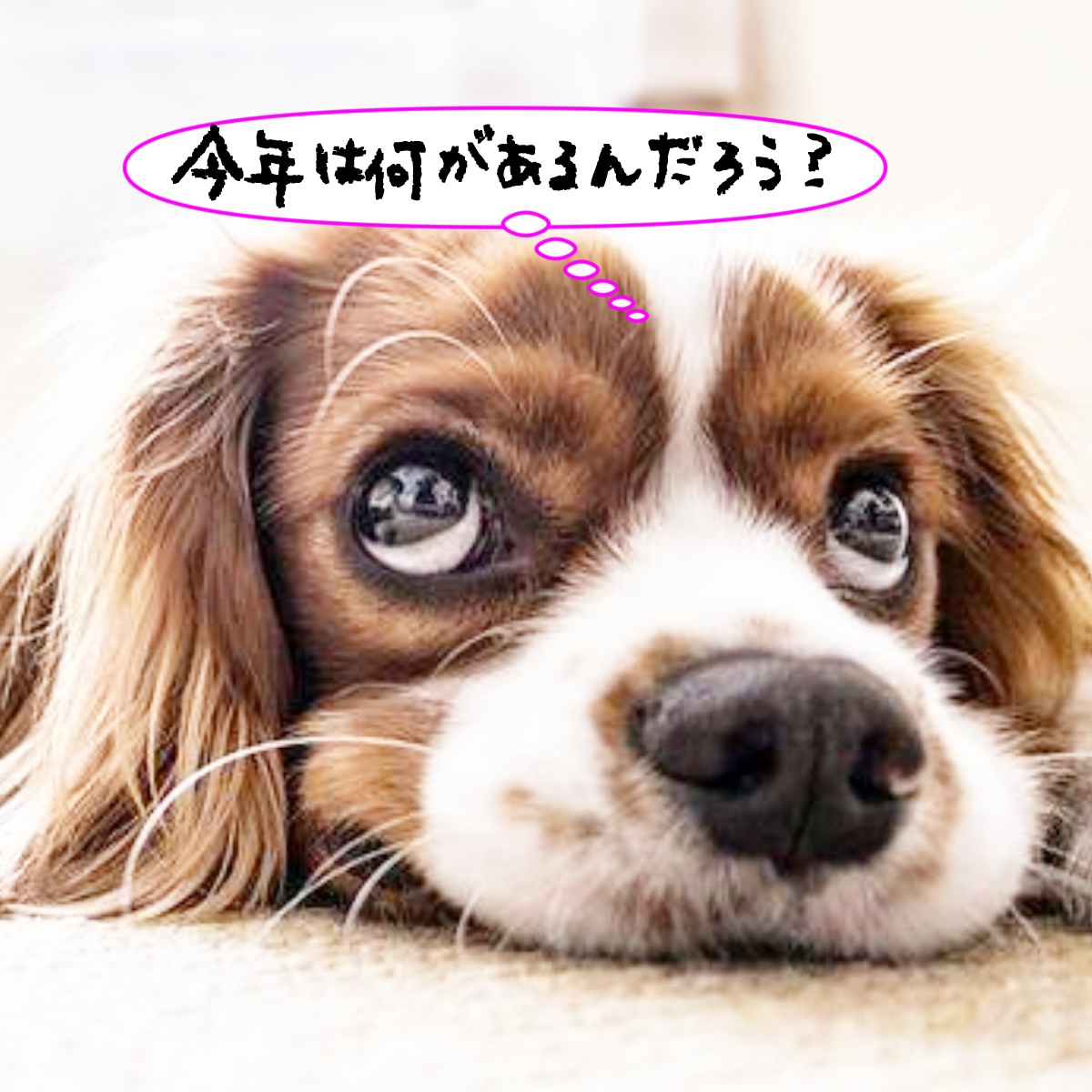 ホロスコープ鑑定！1年間の運勢をタロットで告げます 即納★50%off！今後12ヶ月間の流れを予知宣告いたします イメージ1