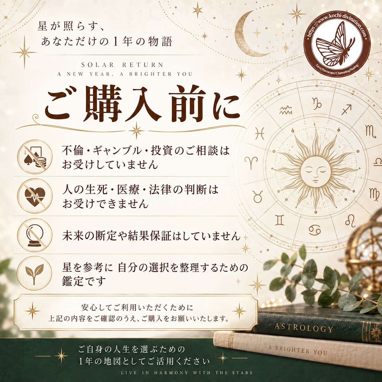ソーラーリターン図で誕生日から1年を読み解きます テーマ・仕事・恋愛・転機を「1年の星図」から読み解きます イメージ8