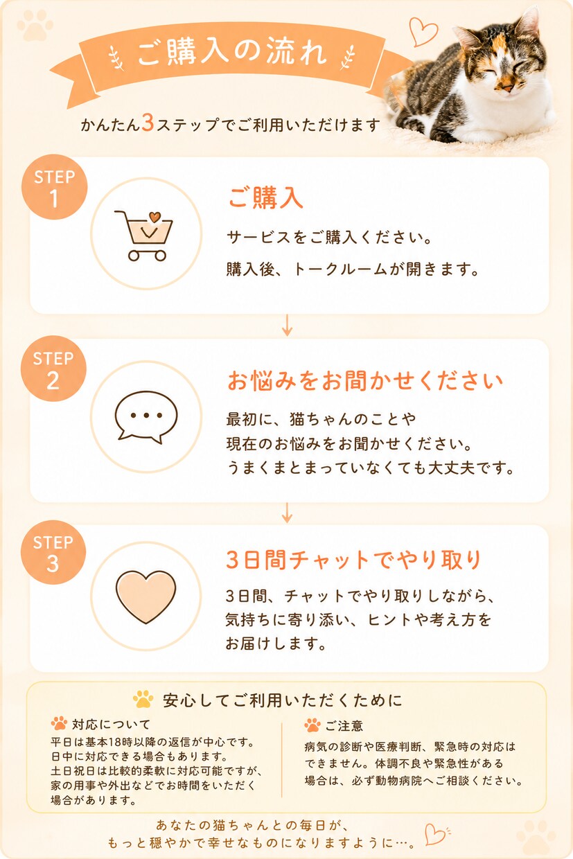 猫との暮らしの悩み聞きます 初めての猫暮らしの不安に寄り添います。 イメージ3