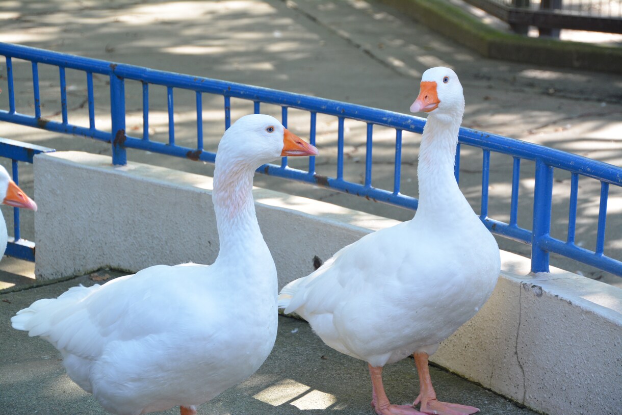 話し相手がいない方でもなんでも聞いてます 5分でもOK！スッキリするまで話しましょ！！ イメージ1