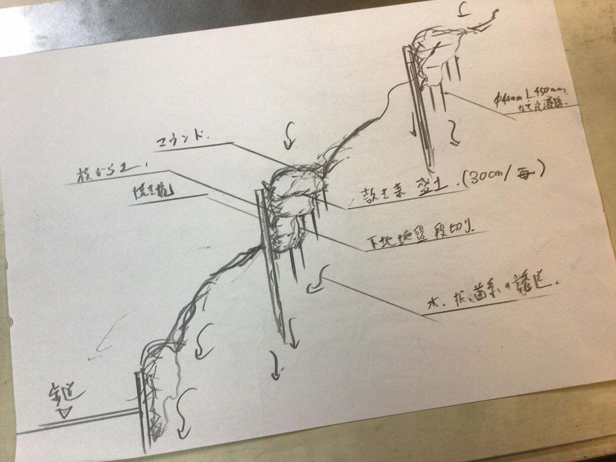世界で活躍の環境再生師がお庭と住まいを改善します 100年先まで心地よい住環境を創るセカンドオピニオン イメージ7
