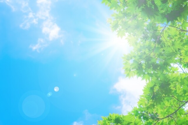 介護で悩むあなたに寄り添います 求められないアドバイスはしません。肩の荷を下ろしてください。 イメージ7