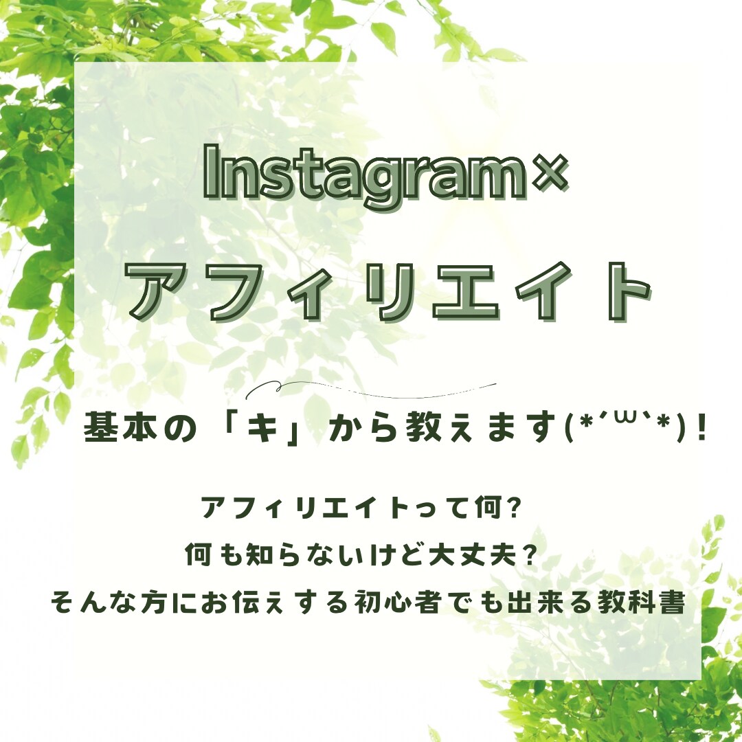 11月特別価格！インスタ×アフィリの基本を教えます 初心者の私も実践！インスタアフィリエイトの教科書(*´꒳`* イメージ1