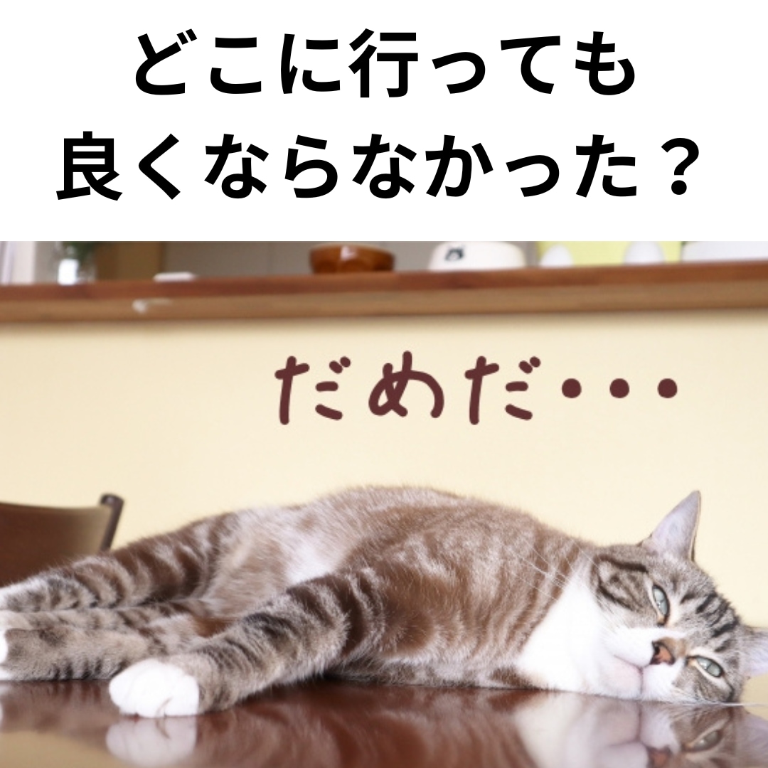 つらい痛みの症状お聞きします 健康の専門家があなたの辛い悩みのお手伝いします。 イメージ2