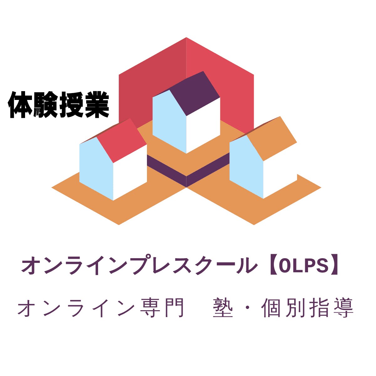 体験授業用　数学・理科の家庭教師オンラインでします 塾講師歴14年の私が中学高校の数学・理科の家庭教師をします イメージ1