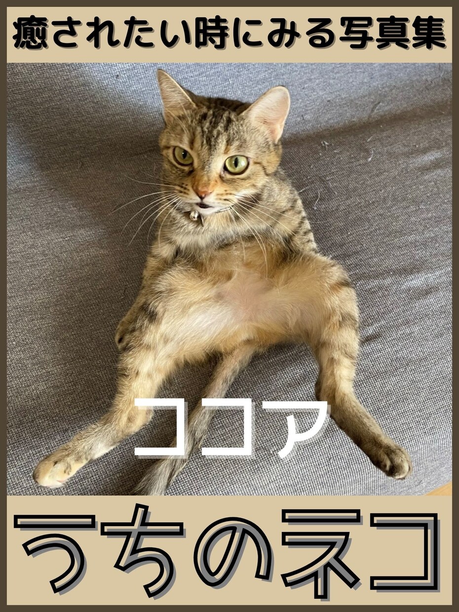 電子書籍出版「丸ごとおまかせパック」受け付けます ❗️プロにすべてお任せ❗️魅せるAmazon電子書籍作ります イメージ3