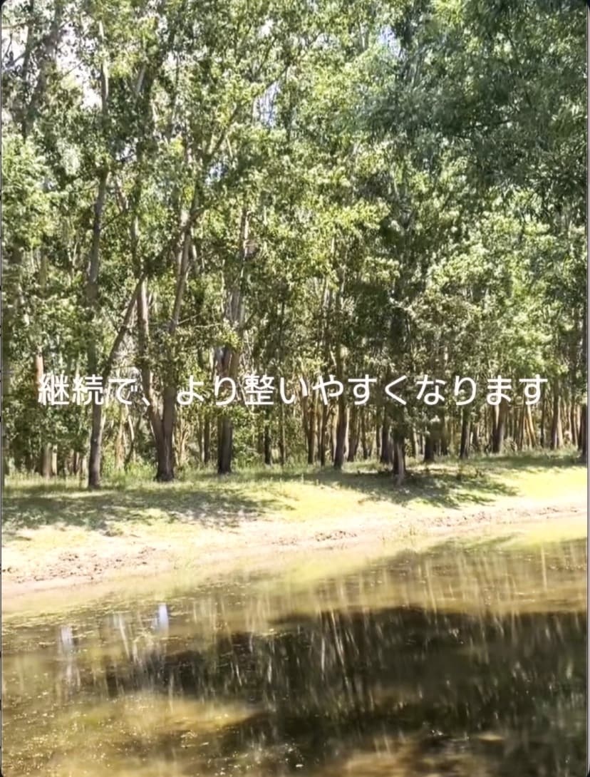 HSP大人のもやもやに寄り添う3日間チャットします プロの共感的傾聴◆3日間いつでもあなたの本音に寄り添います イメージ2