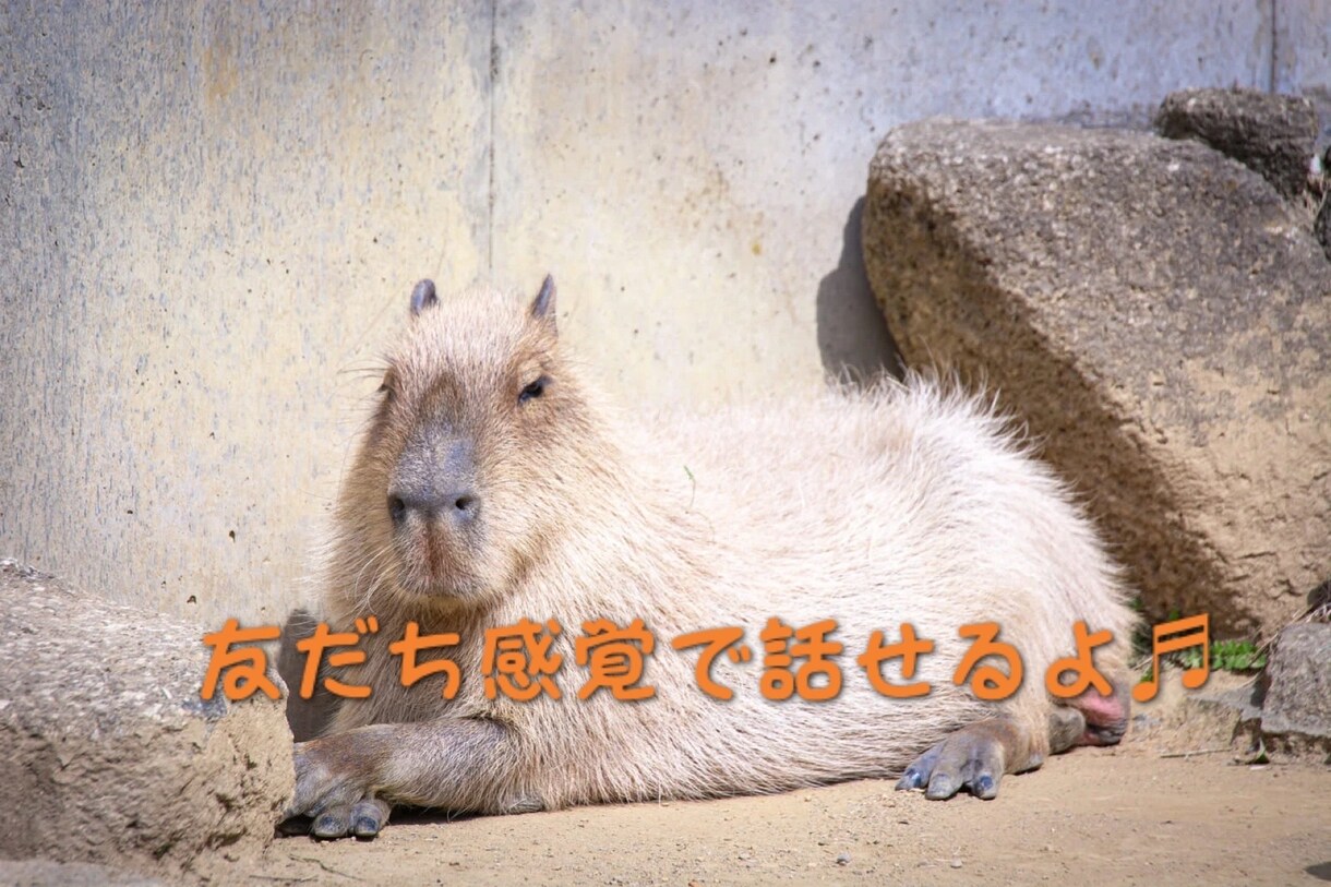 ウソが嫌いな人❣️本音で友達のように話します 堅苦しいのが苦手な方･*リラックスしてお話ししましょう✧₊ イメージ2