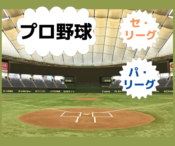 チャット☆彡でプロ野球について聞きます ⚾プロ野球⚾について熱く語りましょう❗❗ イメージ2