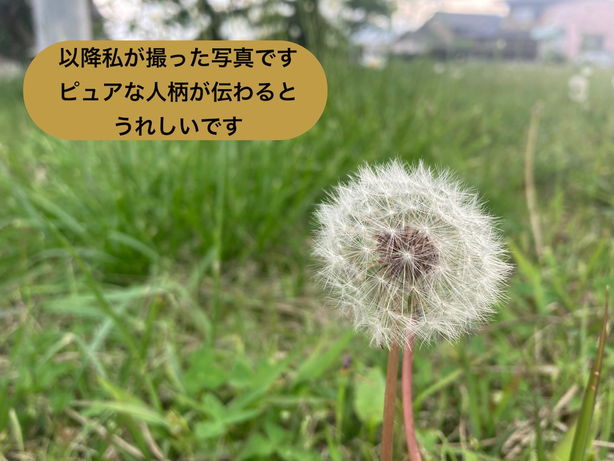 大人になってもほめてほしい✨承認欲求を満たします 仕事/人間関係/ストレス/愚痴/雑談/HSP/ありのまま イメージ2