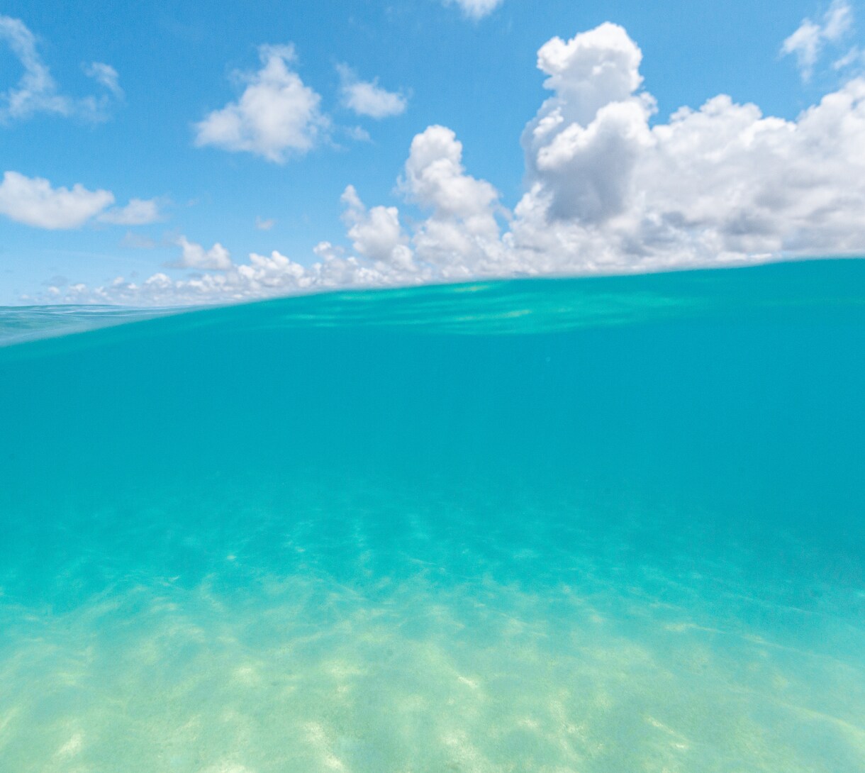大好きなあの人の気持ち、お伝えします あなたと彼の魂に繋がり、お相手の気持ちを深く読み解きます。 イメージ6
