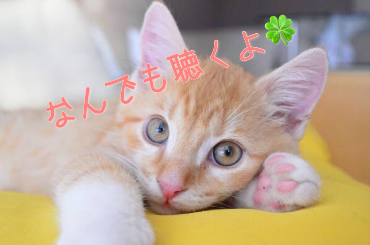 溜まった毒を吐き出すお手伝いをします あなたの不満や愚痴なんでもお聴かせください。 イメージ1