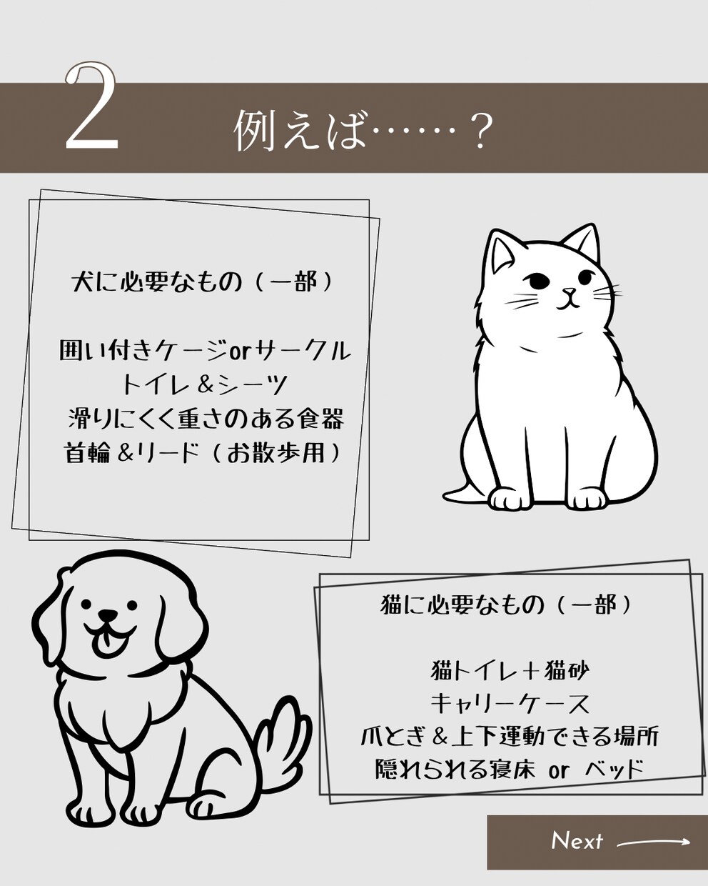 犬猫の飼育・お迎えに関する相談乗ります 初めての犬猫お迎え前の不安をまるごとサポート！ イメージ3