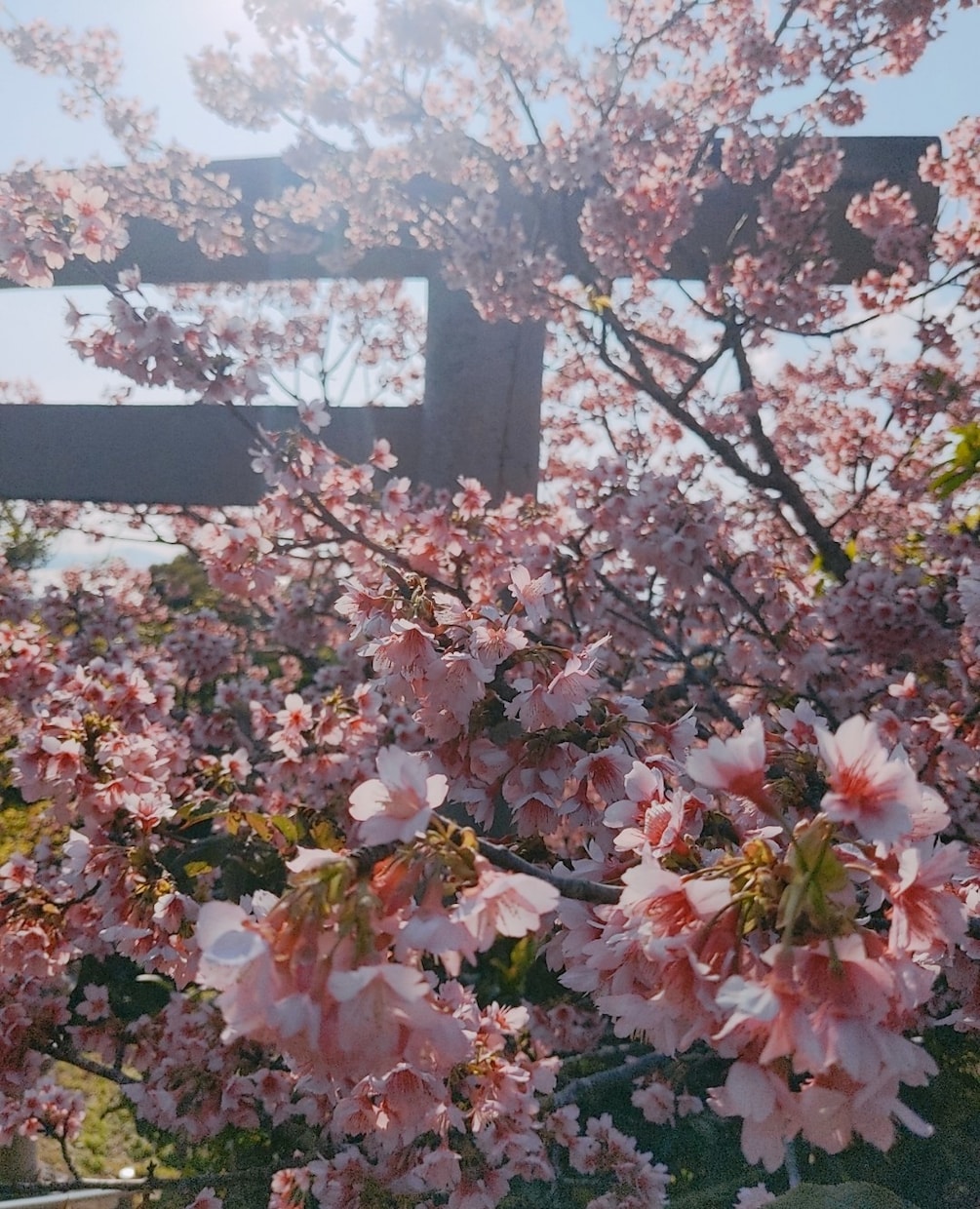 写真を提供致します 綺麗な風景を見てみたくはないですか？ イメージ6
