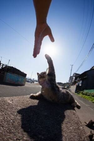 愚痴、お悩みなど、あなたのお話を傾聴します。 イメージ1
