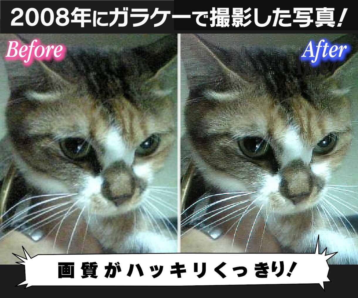 昔の写真が蘇る！？ボヤッとした写真を鮮明にします 写真によくあるザラザラノイズを除去します! イメージ6