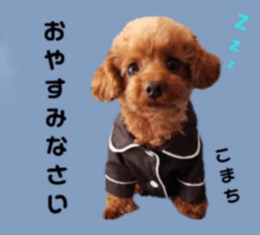 写真を使ってLINEスタンプを作成致します センス抜群♪オリジナルLINEスタンプお任せ下さい(^^) イメージ6