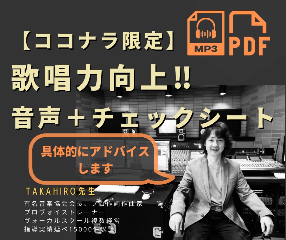 ココナラ専用チェックシートと音声でアドバイスします プロ中のプロの２つの視点からのアドバイスは至れり尽くせりです イメージ1