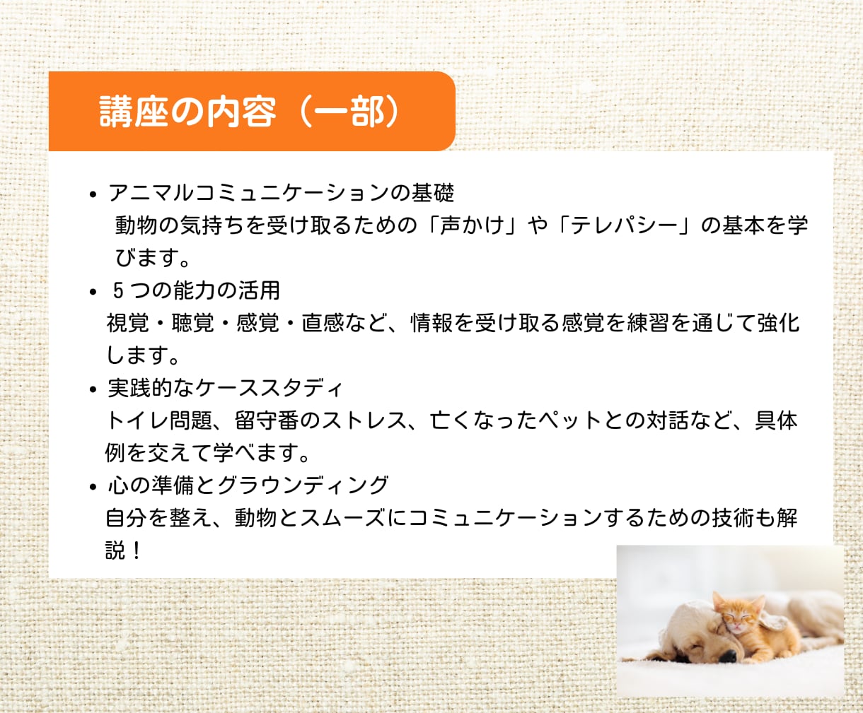 ペットと繋がるアニマルコミュニケーション講座します 愛するペットの声を聴きませんか？初心者でも可能な実践講座 イメージ6