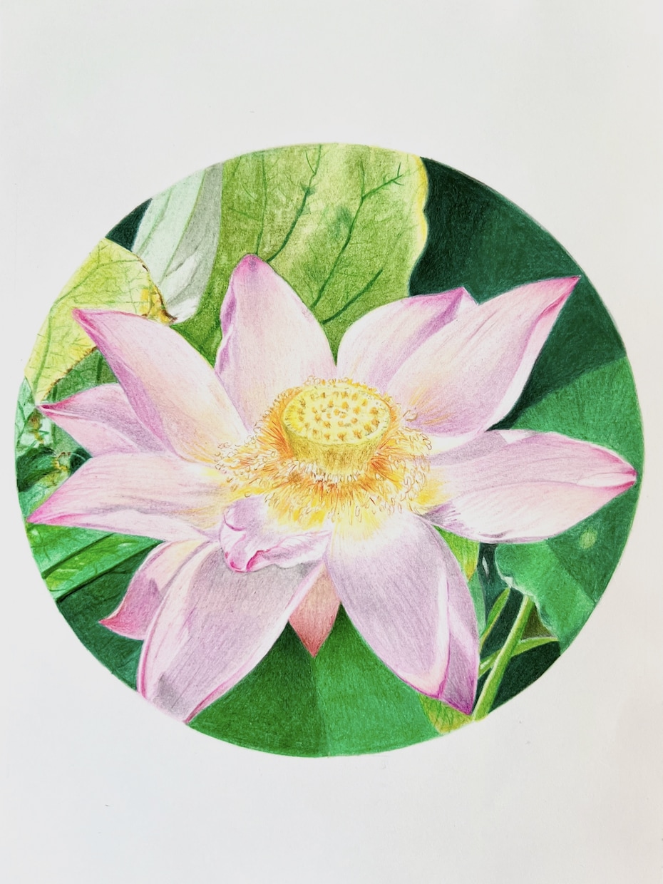 写真からペットイラストを色鉛筆で手描きします 写真とは違う温もりを優しいタッチで、心を込めて制作します イメージ4