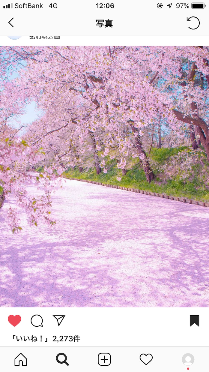 初心者向け！カメラの使い方教えます インスタ映えする写真を撮りたいあなたへ イメージ1