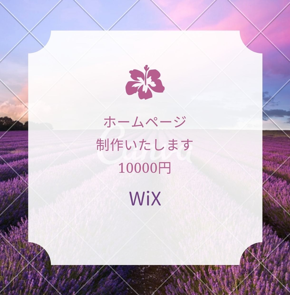 WIXでホームページ20000円で制作致します 高品質なホームページを制作します！ イメージ1