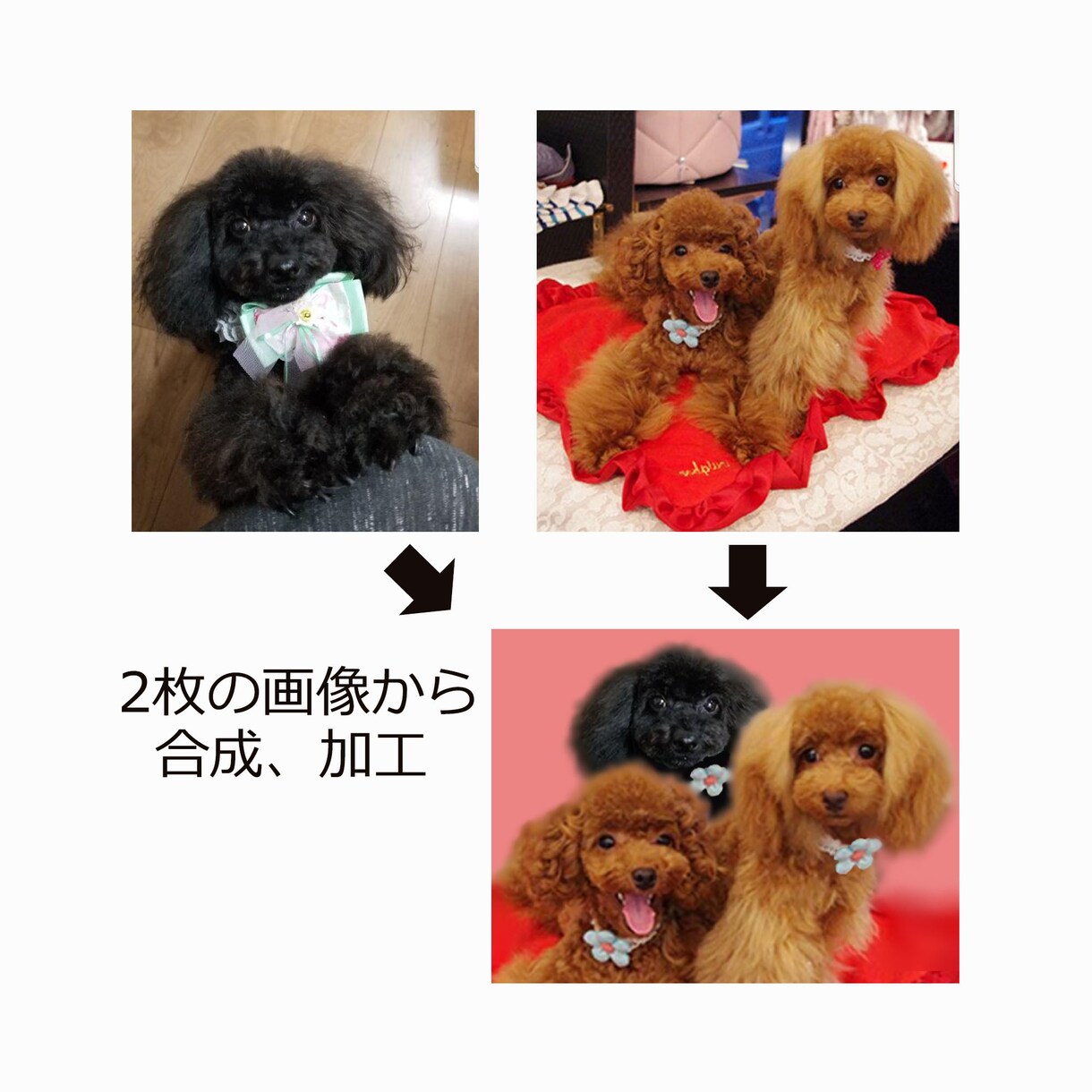 写真、画像を合成、加工します どんな画像処理にも対応。複数の画像を合成したり、修正します。 イメージ9