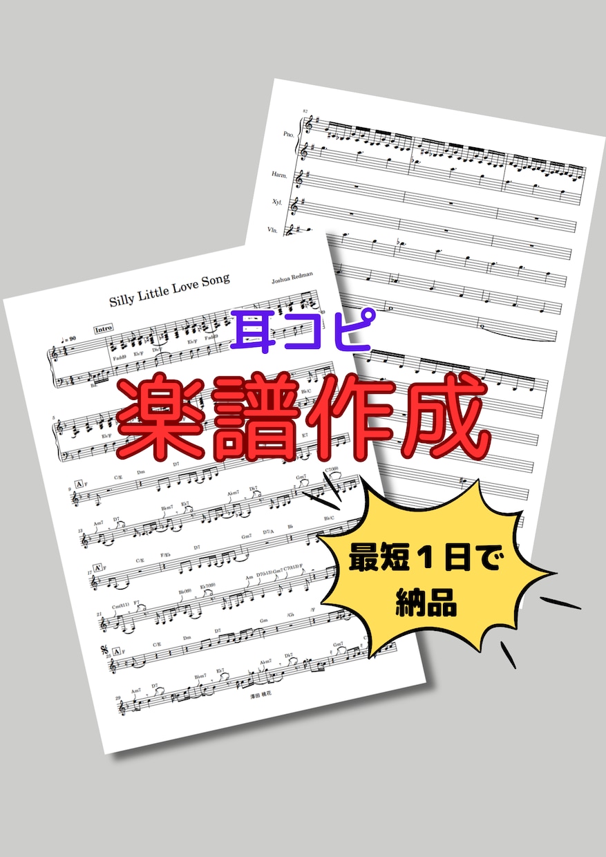 主旋律（メロディー）を、耳コピで楽譜作成します 欲しい楽譜が無い方、絶対音感持ちにお任せください！ イメージ1
