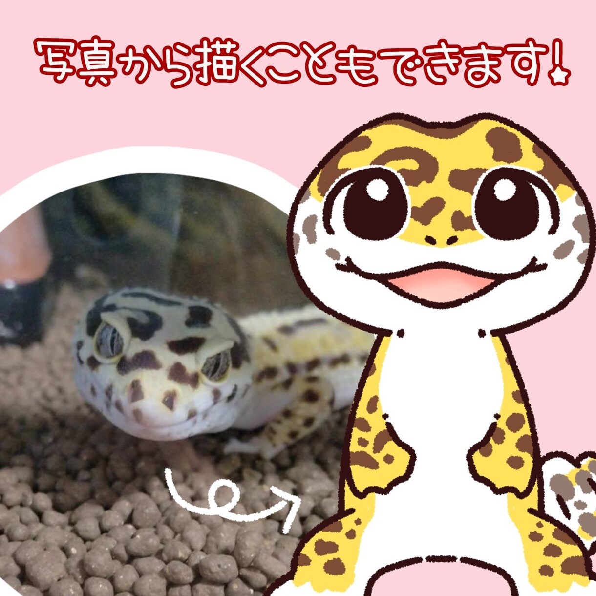 シンプル可愛い！アニマルイラストを描きます 写真がなくても大丈夫！動物名だけでもOK！ イメージ2