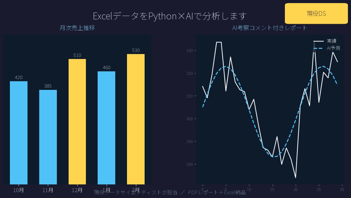 ExcelデータをPython×AIで分析します 現役DSがExcelデータをAI分析レポートにします イメージ1