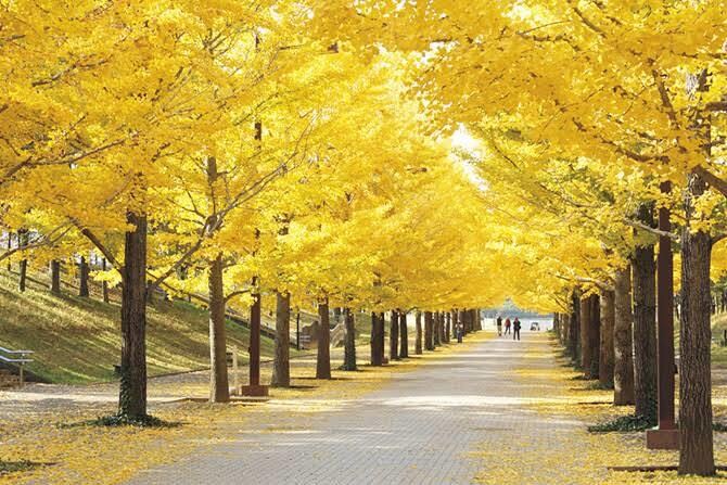 どんな時でも心に寄り添います 相談される方の心の拠り所になり、幸せになってもらいます。 イメージ1