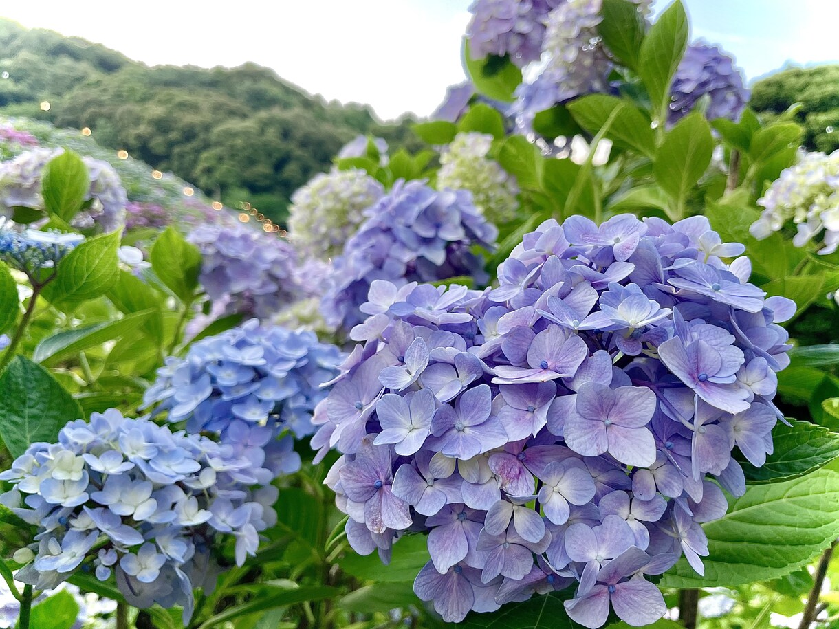 ３日間お話し聞きます のんびり　まったり　ちょっとでも楽しいなお時間を イメージ1