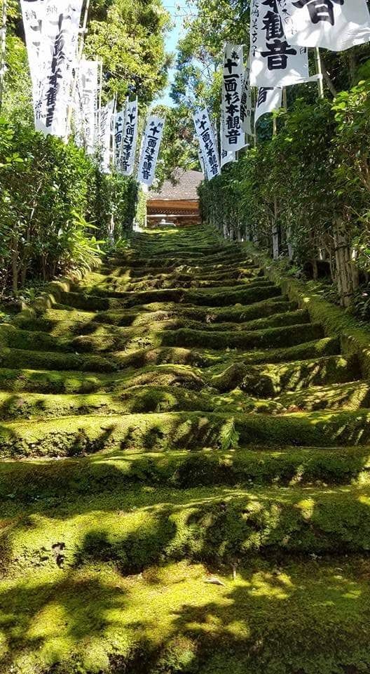 あなたにピッタリの旅行プランを提供します 国内外での一人旅経験を活かし、旅行プラン作成サポートをします イメージ2