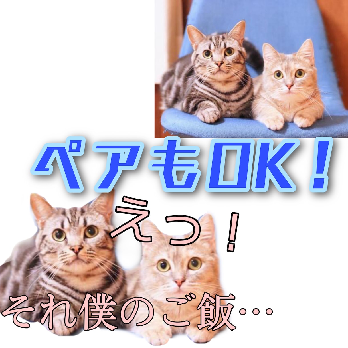 LINEスタンプ制作します あなたの家族を記念に残しませんか？？16セット‼️ イメージ3