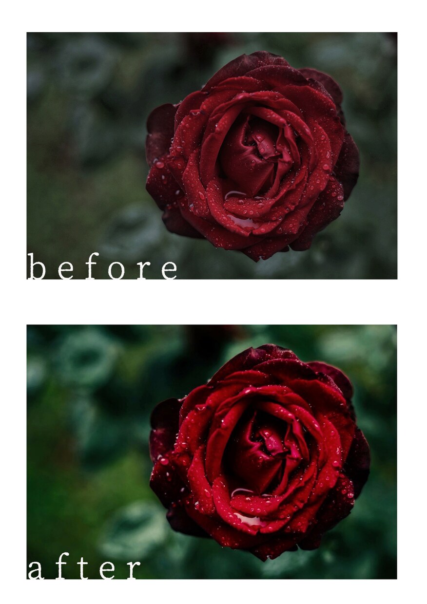 写真の色味加工、修正を致します 写真を綺麗にしたい、より印象深くしたい方へ イメージ3