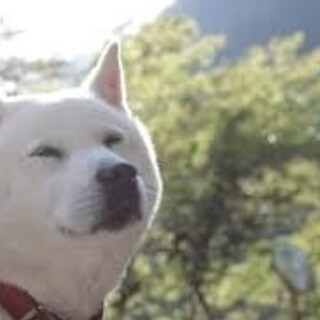 あなたのお気持ちに寄り添い的確なアドバイスをします まるで貴方になったように気持ちを重ね､お気持ちをラクにする イメージ1
