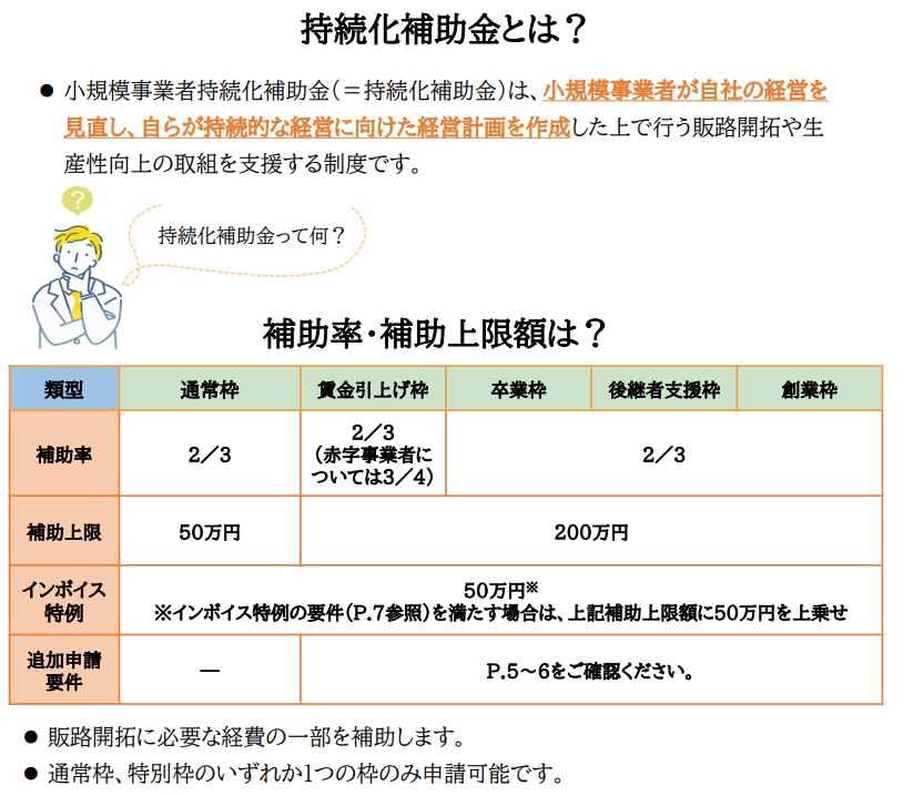 持続化補助金（第１２回公募）の計画書を作成します 補助金資料作成のプロ（元官僚）が申請書作成のお手伝いをします イメージ2